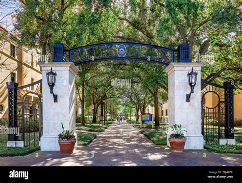 Rollins winter park - The result of that union is the Genius Preserve, a fifty-acre jewel of green nestled between three lakes in Winter Park, Florida. Along its dirt road lined with moss-draped oaks, …